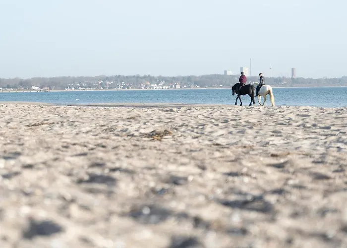 Wohnpark Am Muehlenteich - 32 Apartment *